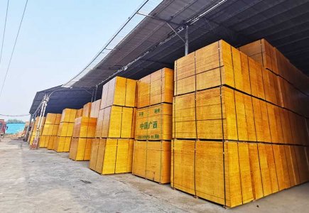 广西贵港市建筑模板生产厂家-山二宝木业